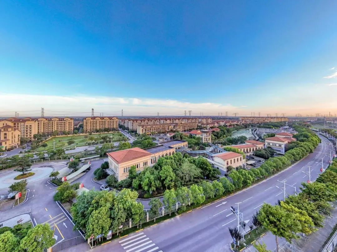 奉城镇党委书记潘军拥抱新片区奋斗新开局奋力建设新时代未来心城