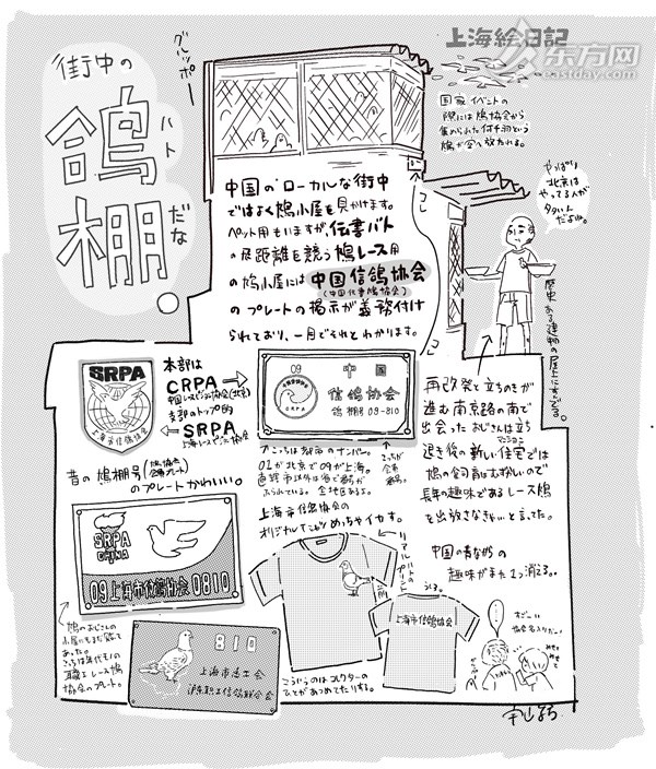 日本人插画师宇山纺：将近现代的中国介绍给日本人，也许就是我在上海的使命吧插图6