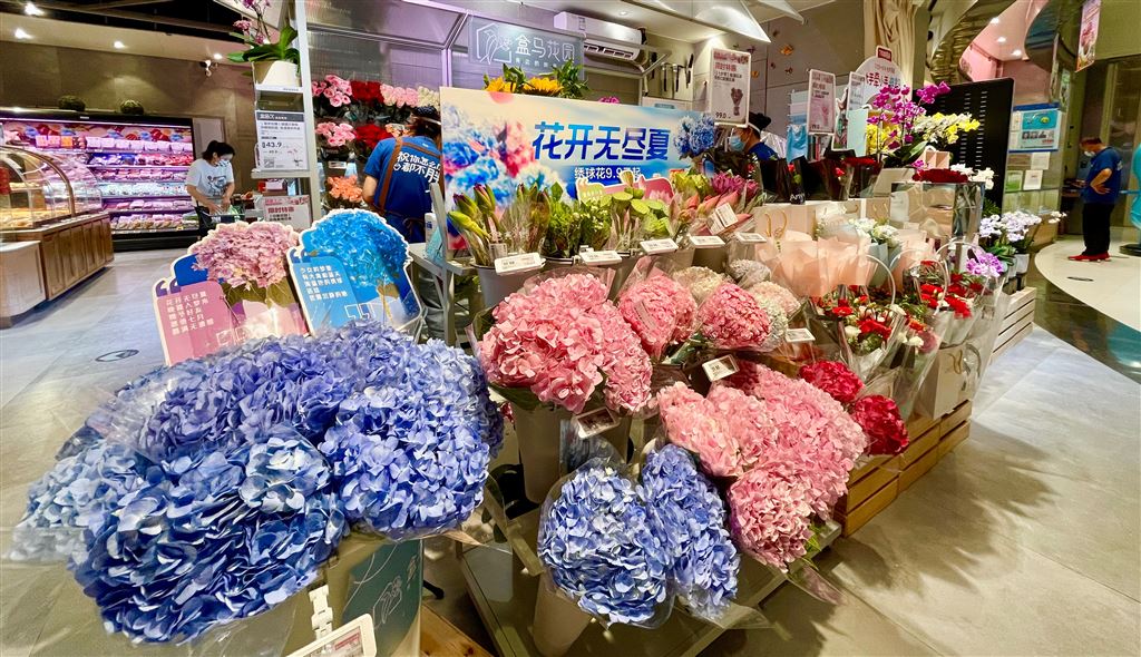 《传统节日新“花”样！今年七夕，玫瑰、康乃馨不再是主角，绣球、芍药、小众玫瑰占“C位”》