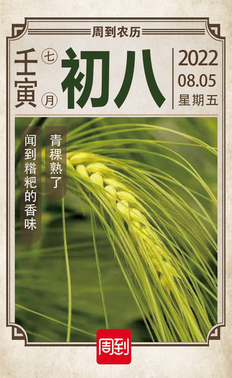 麦苗青 菜花黄--大饥荒川西纪实 【美国博登书屋】 麦苗青菜花黄– JF Books | 季風書園