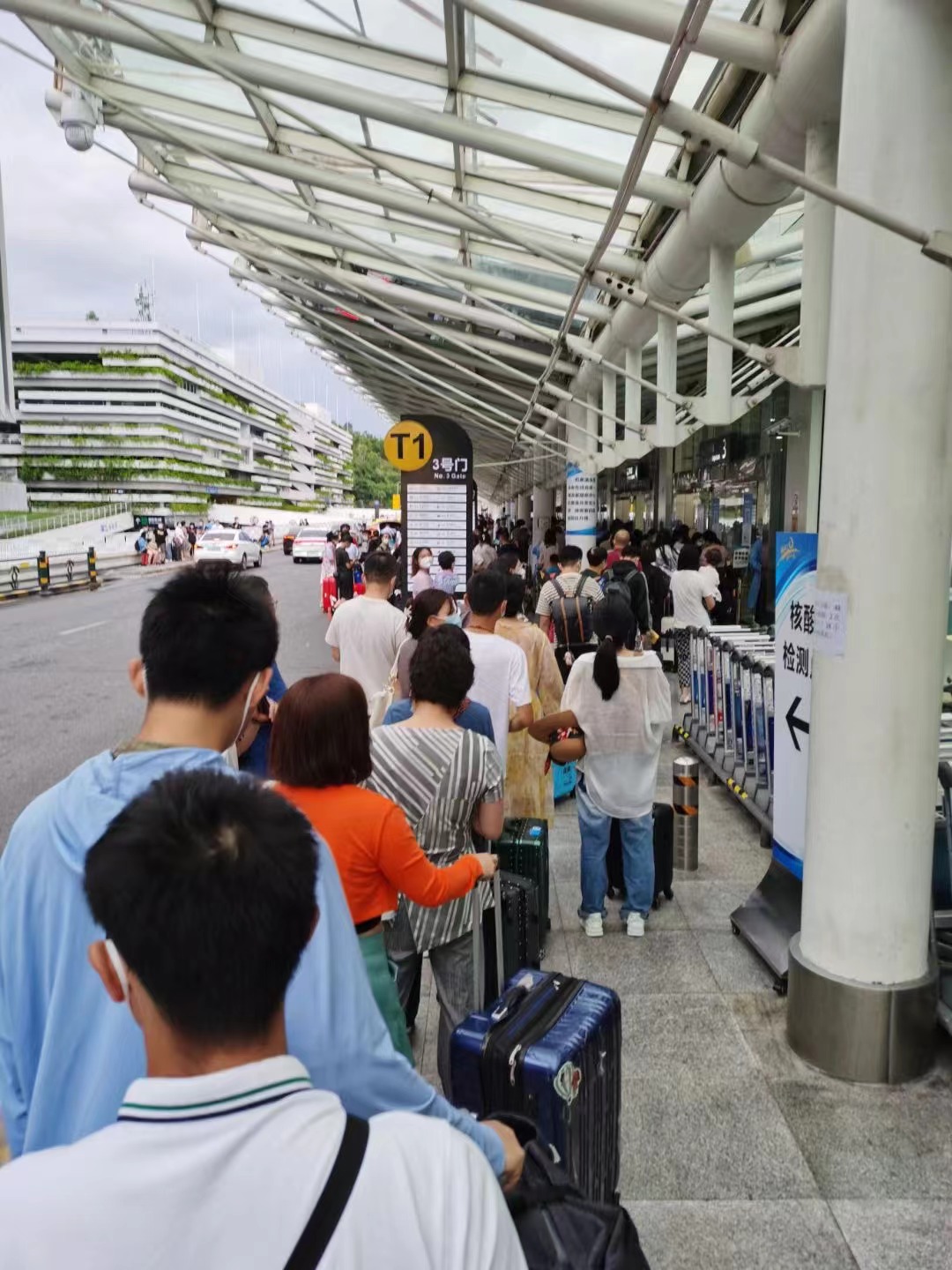 張智彭搭乘高鐵從三亞趕往海口 本文圖均由受訪者供圖