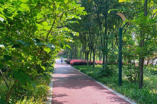 宝山这些林荫休闲步道你走过几条?