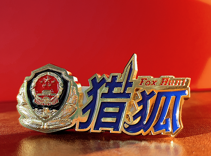 “猎狐”进行时！沪警方构建境外追逃追赃“上海模式” 今年已追缴1.4亿余元插图
