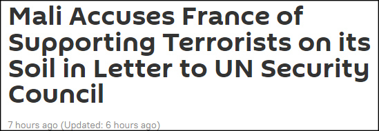 马里外长致信联合国安理会，指责法国“支持恐怖组织”插图