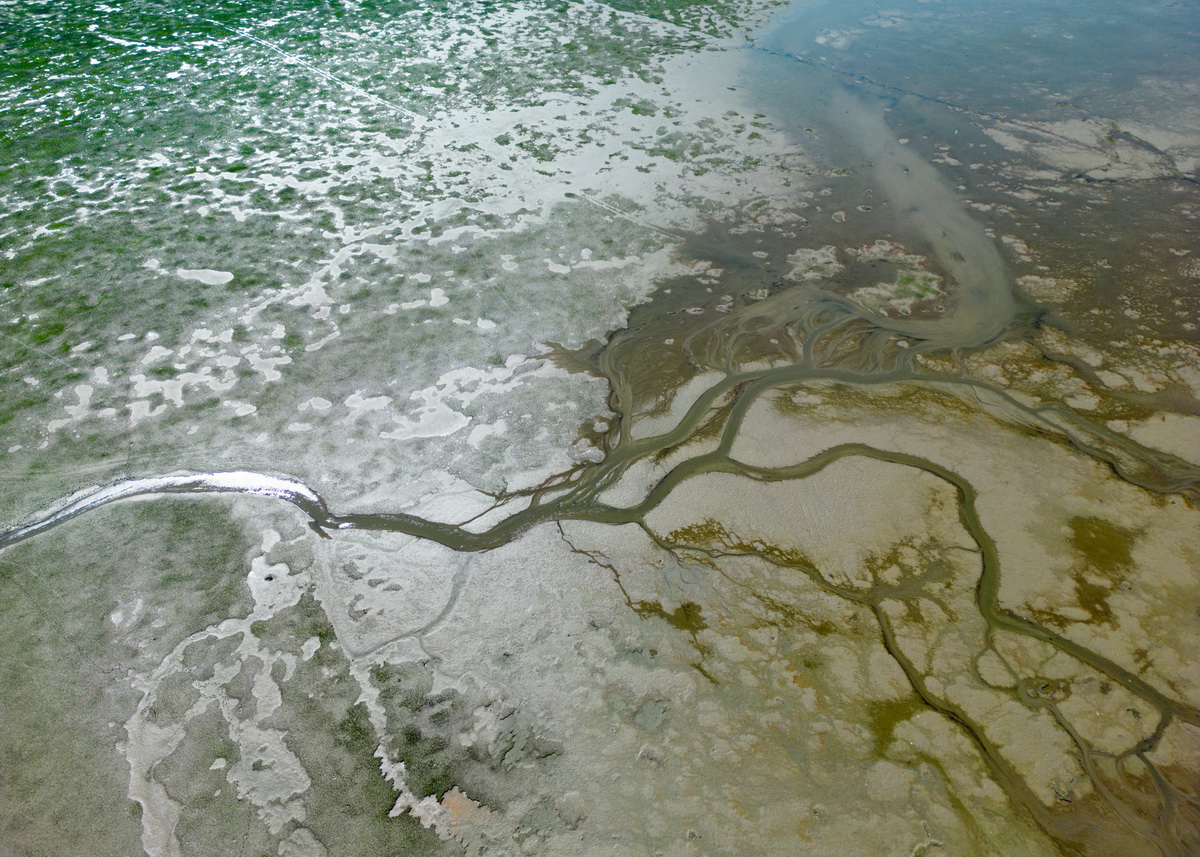 2022年8月8日，江西九江，鄱阳湖湖滩露出。