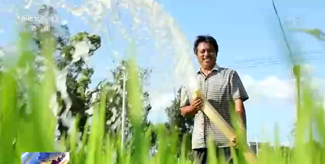 四部门印发紧急通知：抗旱夺丰收 加强秋粮中后期田间管理插图9