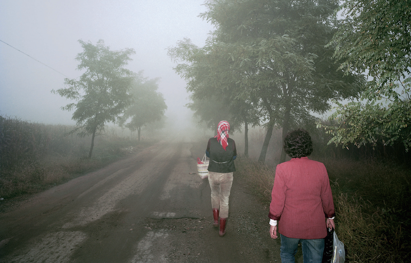 《土地》系列，2010，（刘立宏摄）