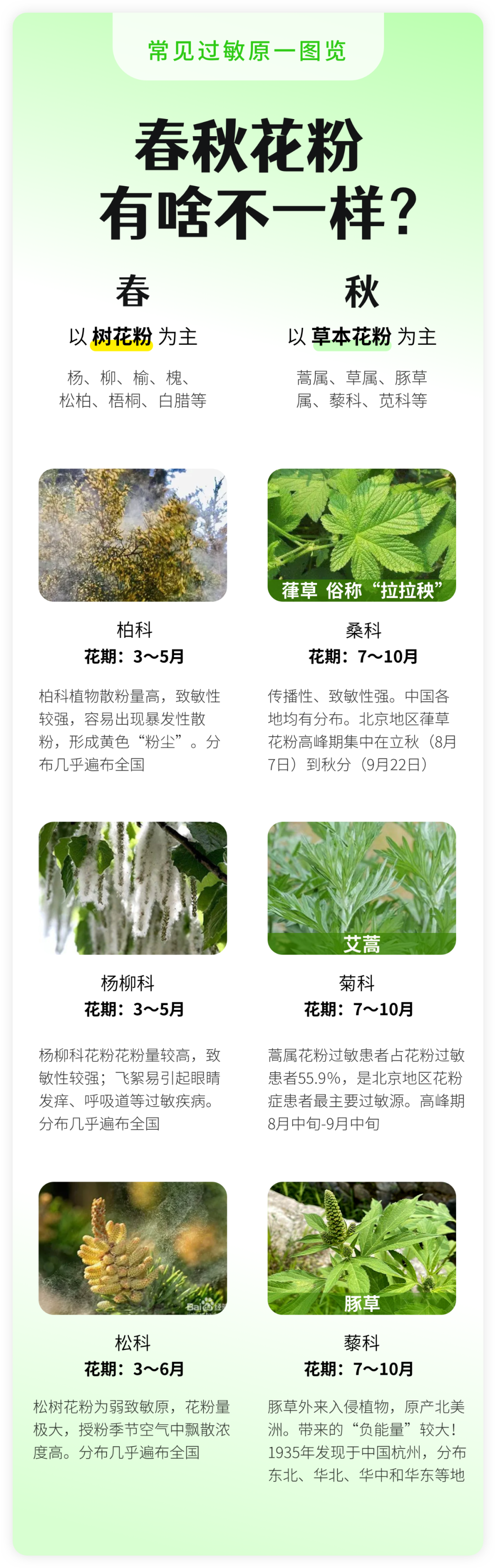 警惕花粉过敏找上门春秋花粉区别是啥