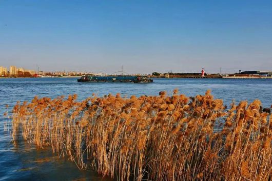 
南京军区总医院挂号黄牛电话,住院检查加快“浦江第一湾”有一波本领高强的“神秘生物”正“浮出水面”，快来看！