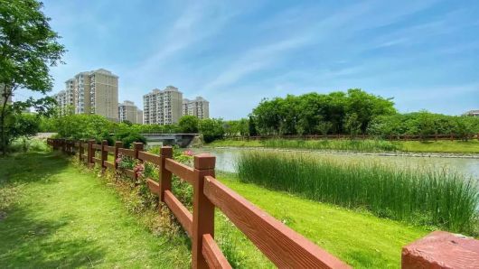 
南京军区总医院挂号黄牛电话,住院检查加快“浦江第一湾”有一波本领高强的“神秘生物”正“浮出水面”，快来看！