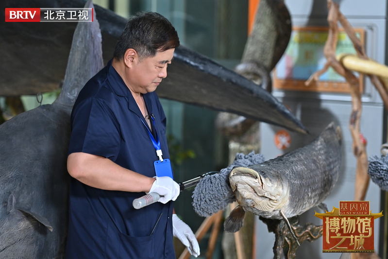 
北京大学人民医院黄牛挂号电话,住院检查加快单霁翔带您别样探秘北京博物馆，体验全新立体可亲的《博物馆之城》