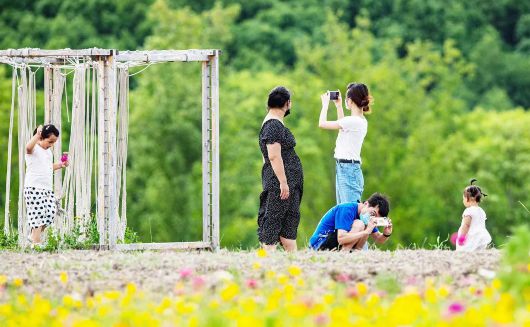 
北京安定医院黄牛挂号,住院检查加快暑假已近尾声，一组照片回顾快乐时光