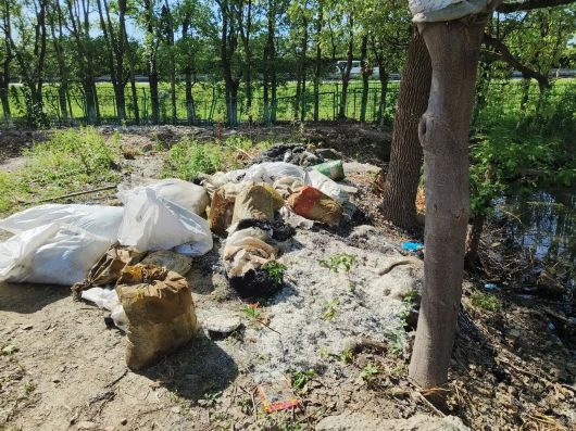 
天津各大医院黄牛挂号,住院检查加快“不知情”就能免责？切莫贪图一时方便就违法啊！