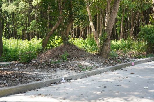 
天津各大医院黄牛挂号,住院检查加快“不知情”就能免责？切莫贪图一时方便就违法啊！