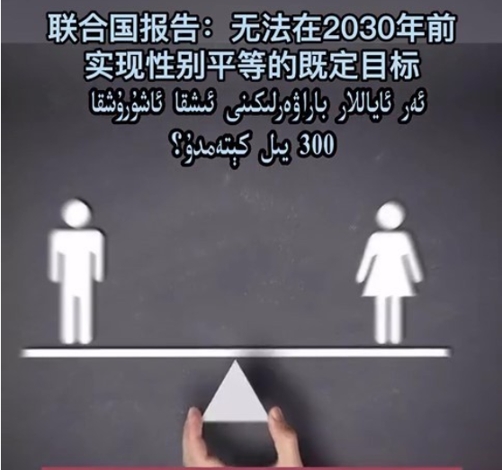 联合国报告：全面实现男女性别平等尚需近300年时间 6979