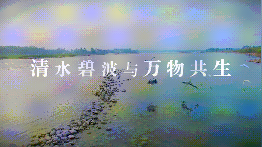水文化 | 看！太空视角见证黄河变迁-ManBetX注册登录·(中国)