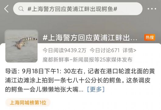 【城事】黄浦江边有鳄鱼晒太阳！网友：张嘴时挺可爱；是何品种、会不会伤人？插图1