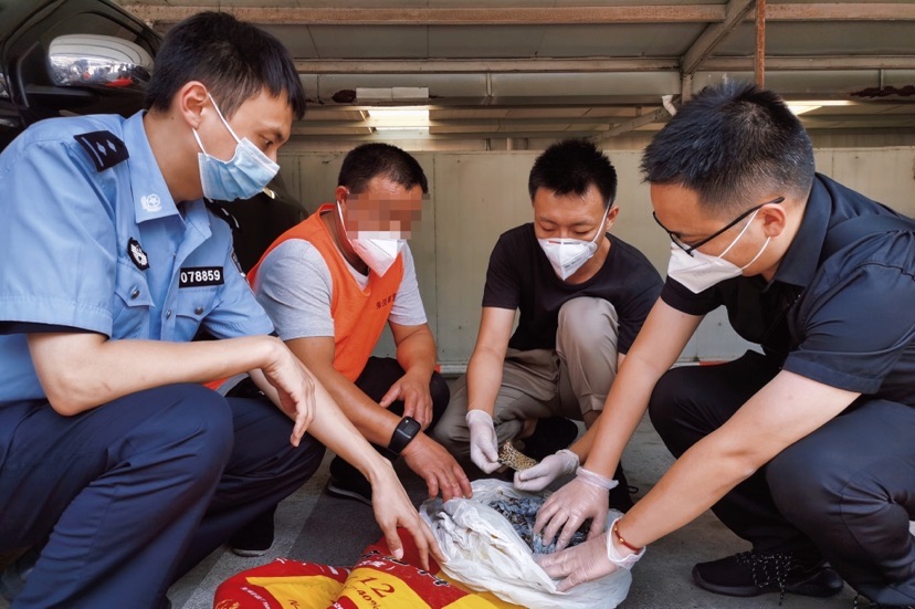 千万元级非法“熏拉丝”生意链被切断 14万余只中华大蟾蜍险些流向市民餐桌插图2