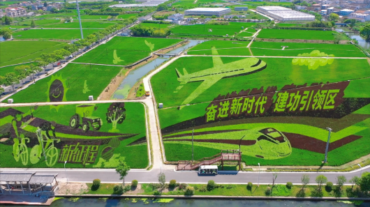 新区2022年中国农民丰收节启动，浦东乡村邀你打卡“一村一线路”！插图12
