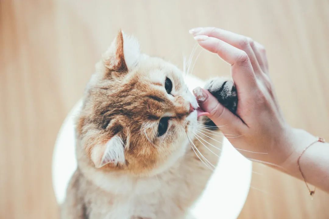 微信图片_20220923171040.jpg 图片