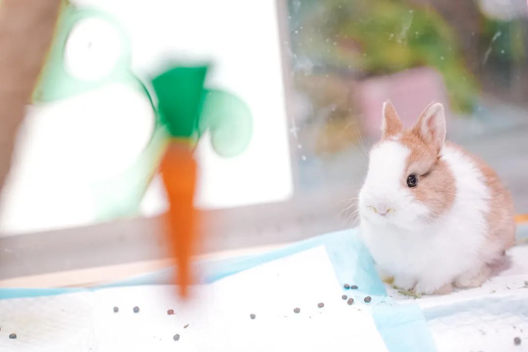 微信图片_20220923170936.jpg 图片