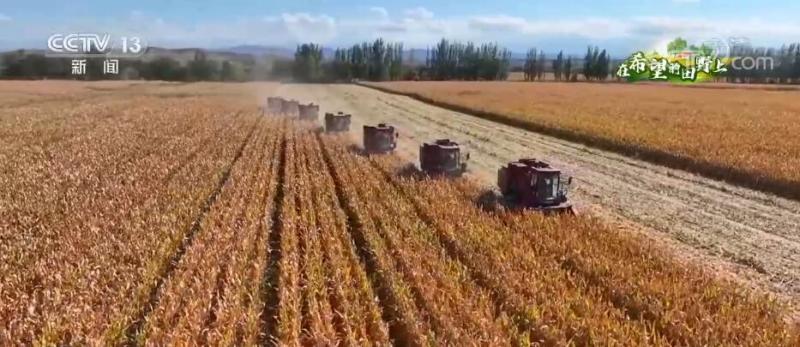 (在希望的田野上 | 新疆玛纳斯6.4万亩制种玉米全面丰收）-泛亚电竞