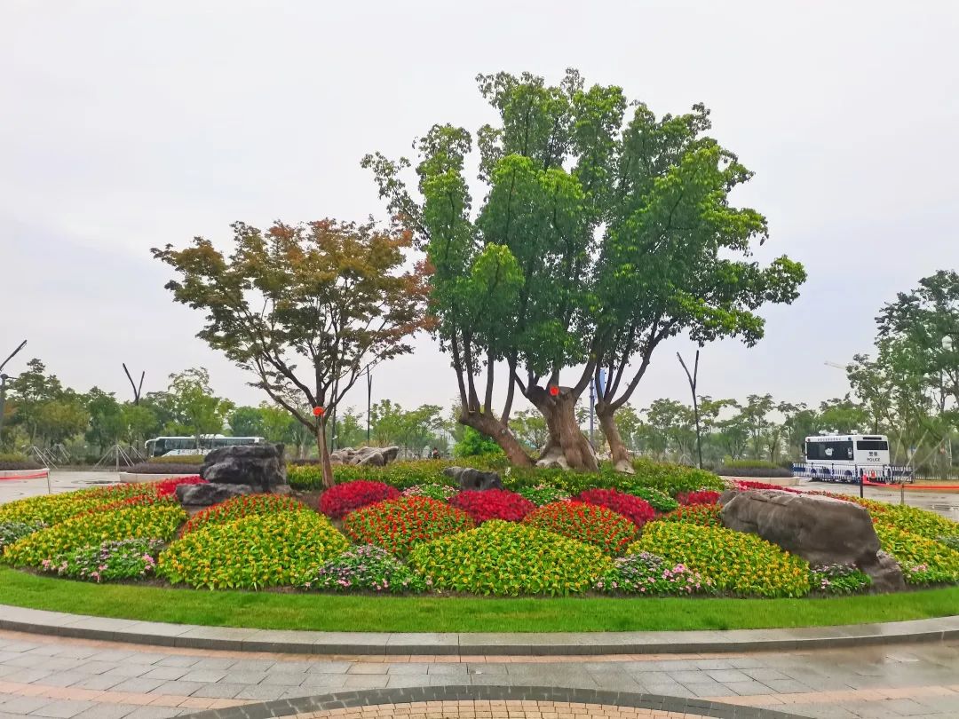 在公园绿地内,鲜艳的五星红旗迎风飘扬,精致的特色主题花镜花团锦簇