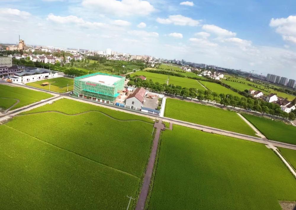 (千亩花海、万亩稻浪…南上海这个地方成为市民出游拍“大片”的网红地）-泛亚电竞