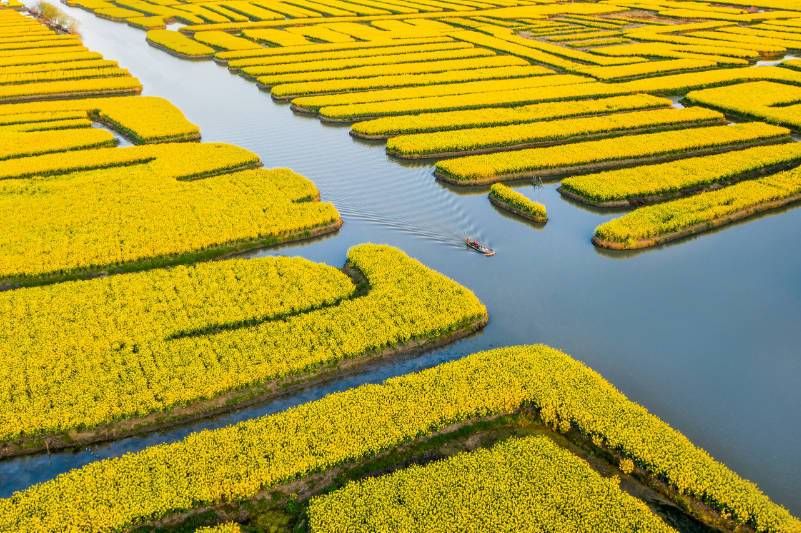 《【杏耀手机版登录】已达30项 中国再添4处世界灌溉工程遗产》