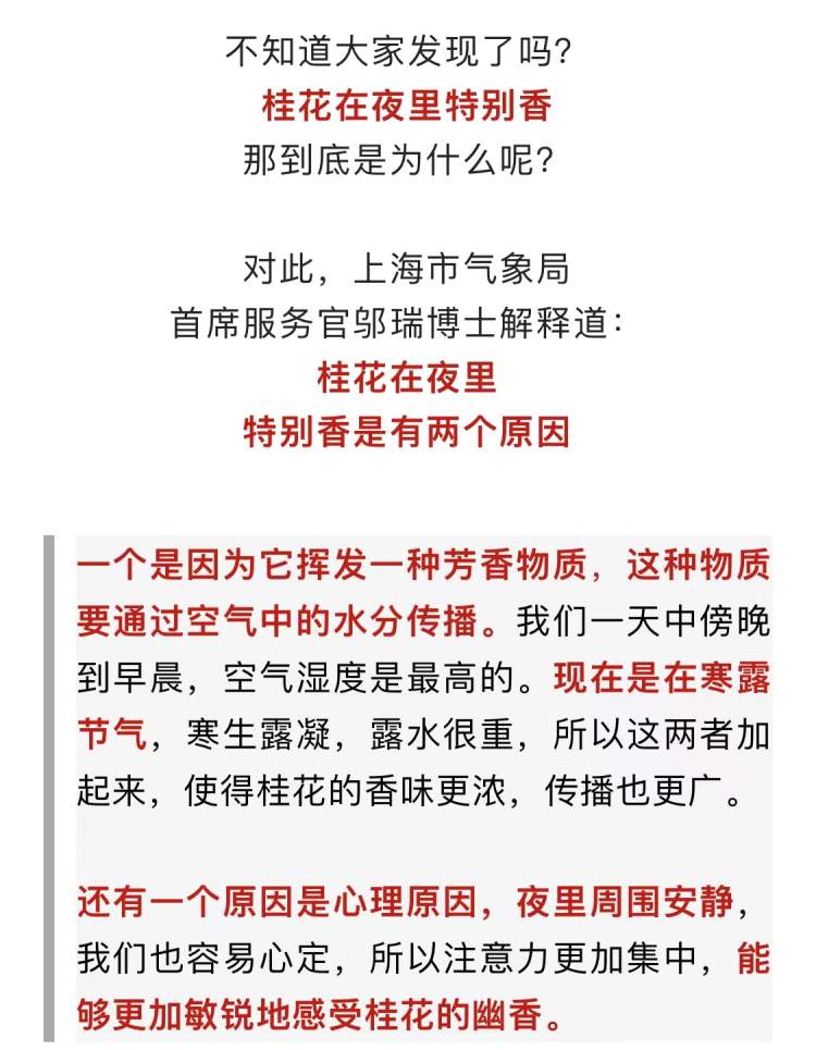 
广东省人民医院黄牛代挂号电话票贩子号贩子网上预约挂号,住院检查加快,满城桂花香带动桂花衍生食品热销，这波桂花预计可开到本月下旬