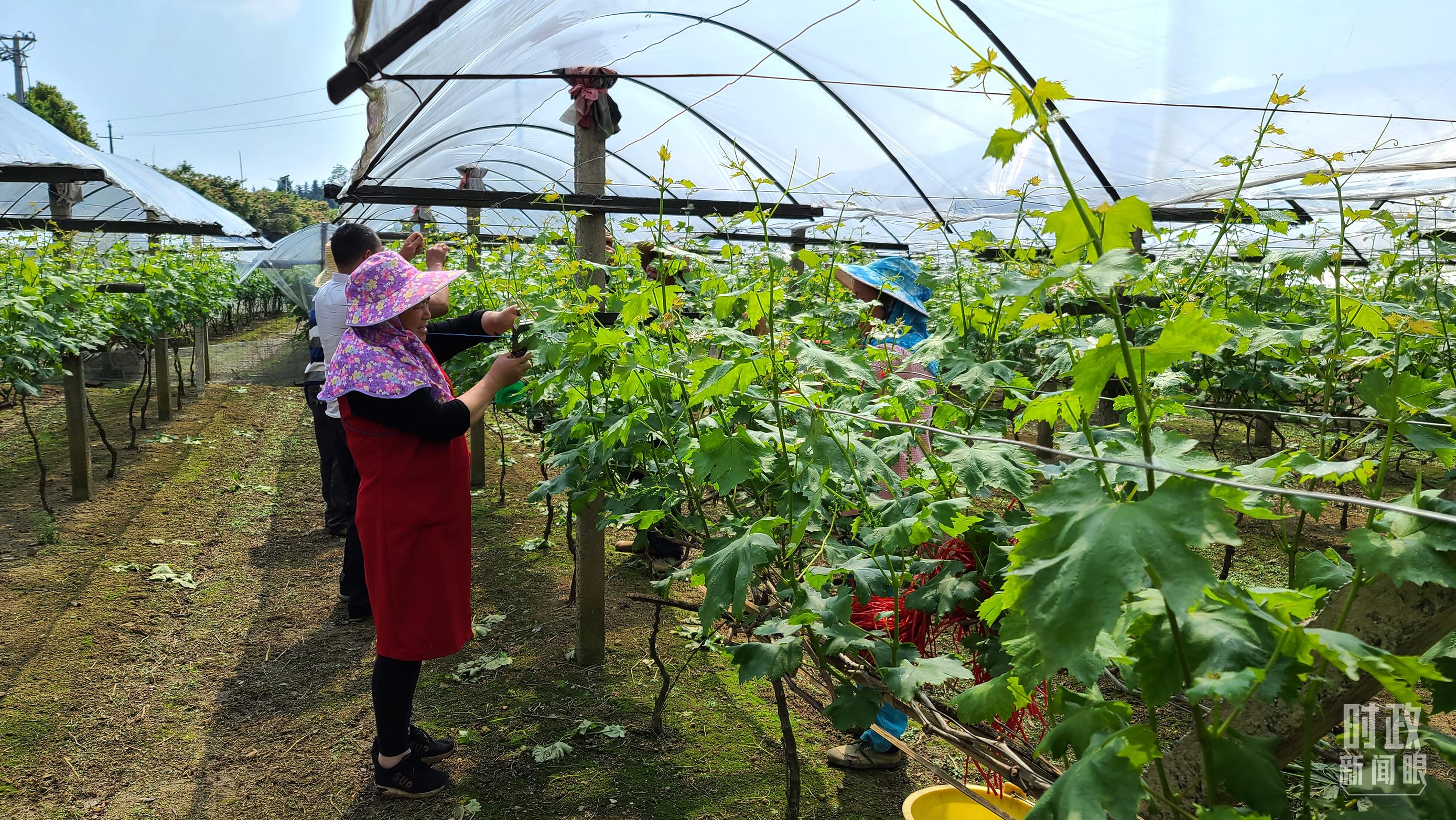 
北京安贞医院黄牛代挂号电话票贩子号贩子网上预约挂号,住院检查加快,如何学习贯彻党的二十大精神？习近平强调“五个牢牢把握”