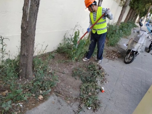 
长沙各大医院黄牛代挂号电话票贩子号贩子网上预约挂号,住院检查加快,精细化抓整改、抓落实！宝山这个街道跑出创全“加速度”