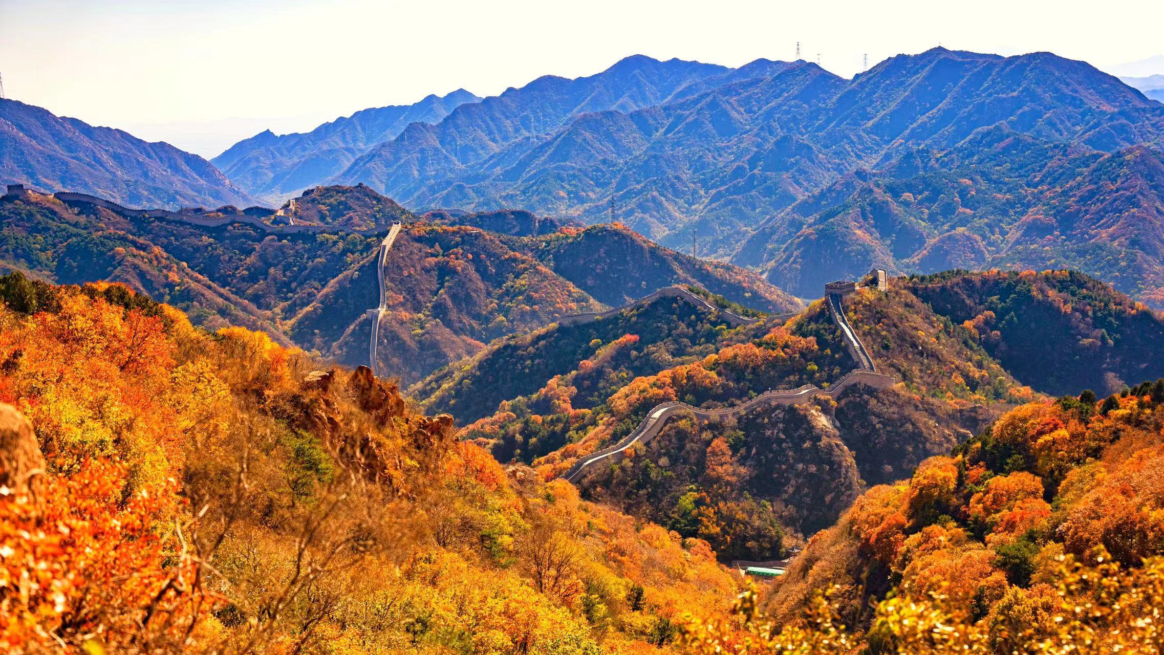 八达岭长城枫叶图片图片