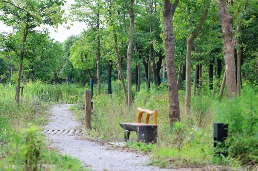 
东直门医院黄牛代挂号电话票贩子号贩子网上预约挂号,住院检查加快,走进“森林剧场”，畅游“公园之城”|世界城市日倒计时5天