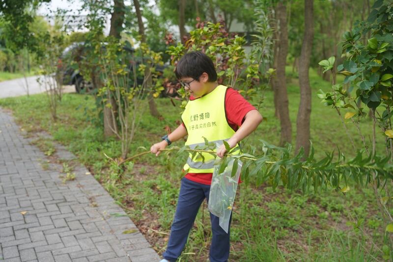 
南方医科大学南方医院黄牛代挂号电话票贩子号贩子网上预约挂号,住院检查加快,来过这里的人会放下对虫子的戒备，这群年轻人在上海郊外打造“荒野乐园”