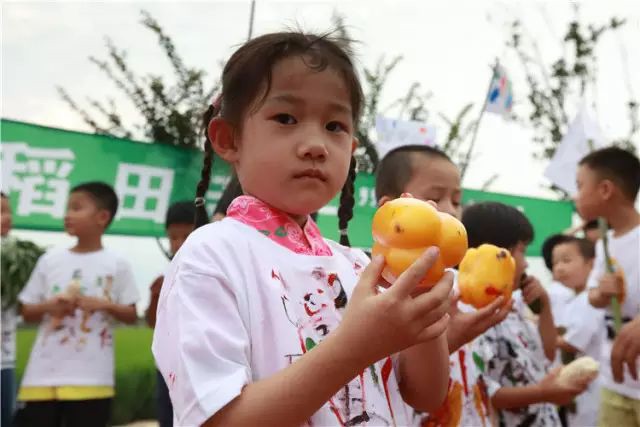 
广州中山三医院黄牛代挂号电话票贩子号贩子网上预约挂号,住院检查加快,嘉定外冈：春播秋收田里香 “农旅文”融合品牌响