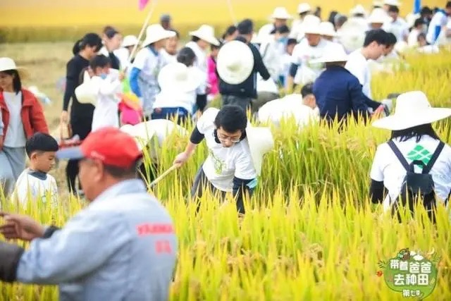 
广州中山三医院黄牛代挂号电话票贩子号贩子网上预约挂号,住院检查加快,嘉定外冈：春播秋收田里香 “农旅文”融合品牌响