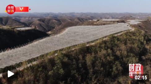 
上海肺科医院黄牛代挂号电话票贩子号贩子网上预约挂号,住院检查加快,时政现场说丨察民情谋振兴 金秋漫山果飘香