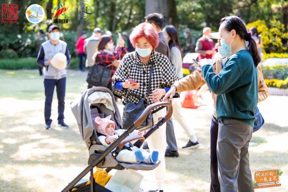 
天津儿童医院黄牛代挂号电话票贩子号贩子网上预约挂号,住院检查加快,2022嘉定菊展开幕后的首个周末，一波美照来袭