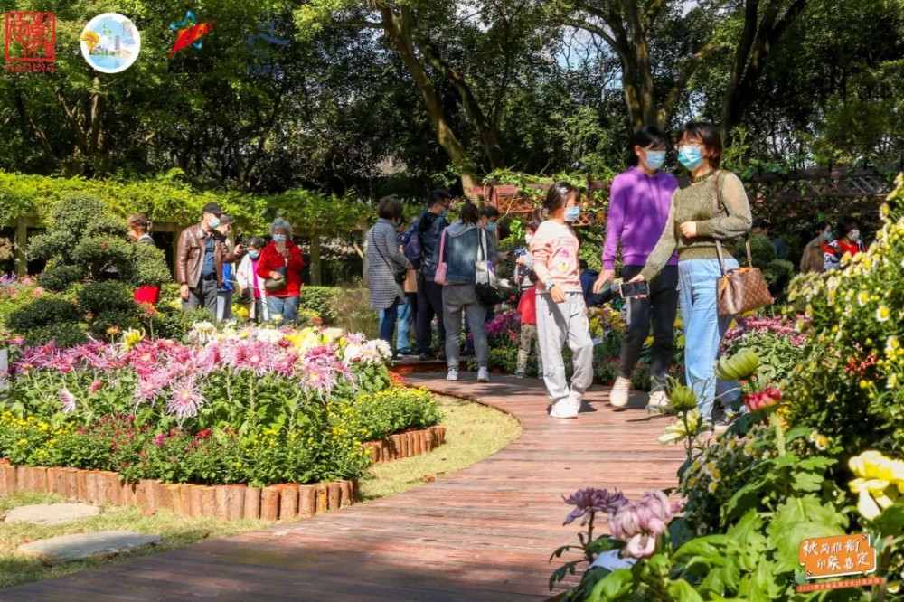 
天津儿童医院黄牛代挂号电话票贩子号贩子网上预约挂号,住院检查加快,2022嘉定菊展开幕后的首个周末，一波美照来袭