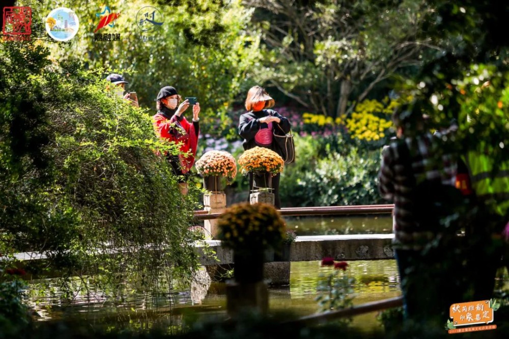 
天津儿童医院黄牛代挂号电话票贩子号贩子网上预约挂号,住院检查加快,2022嘉定菊展开幕后的首个周末，一波美照来袭