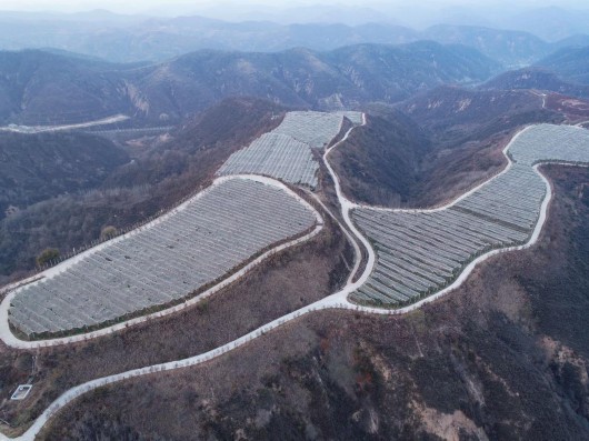 
北医六院黄牛代挂号电话票贩子号贩子网上预约挂号,住院检查加快,沿着总书记的足迹·新闻多一点丨延安苹果让老乡们生活越来越红火