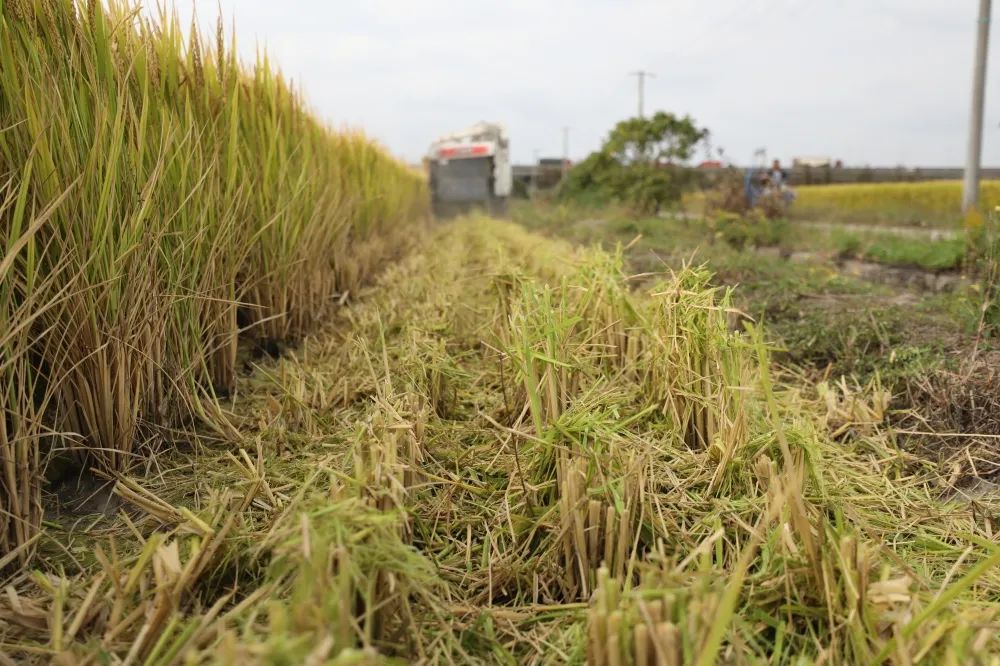 1667178126630104.jpg 图片