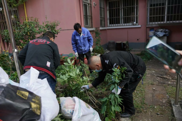 
东直门医院黄牛代挂号电话票贩子号贩子网上预约挂号,住院检查加快,莘庄镇圣陶沙居委开展“清旧物、换礼物、展新颜、保安全”固全文明清洁行动