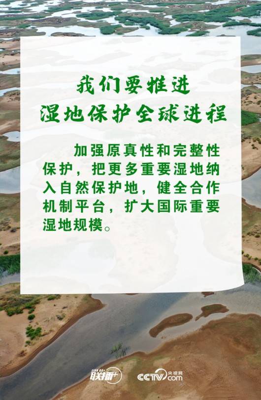 联播+丨推进湿地保护全球行动 习近平诠释中国担当-泛亚电竞