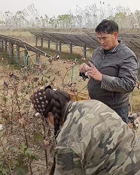 
中国中医科学院广安门医院黄牛代挂号电话票贩子号贩子网上预约挂号,住院检查加快,大衣哥被诉侵犯著作权案：另一方当事人发声，暗指朱之文混淆视听