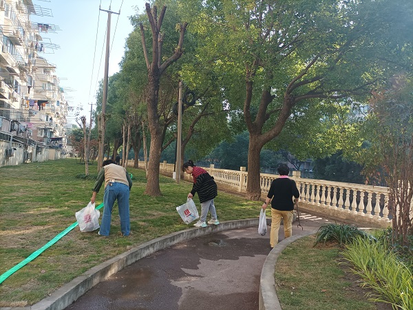 
北京广安门中医院黄牛代挂号电话票贩子号贩子网上预约挂号,住院检查加快,莘庄镇绿梅一村党总支开展环境整治主题党日活动