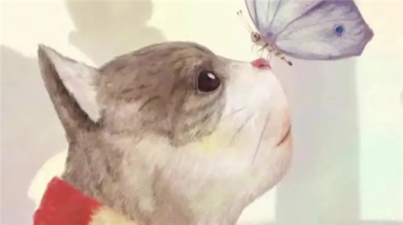 WDCM上传图片 WDCM上传图片