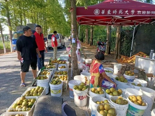 
中国中医科学院西苑黄牛代挂号电话票贩子号贩子网上预约挂号,住院检查加快,带你一起解锁全国文明村——潘垫村的“文明密码”