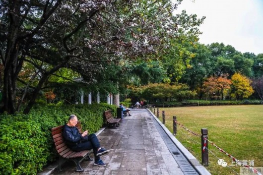 
浙江省肿瘤医院黄牛代挂号电话票贩子号贩子网上预约挂号,住院检查加快,复兴公园“走”出围墙“”出更多可能